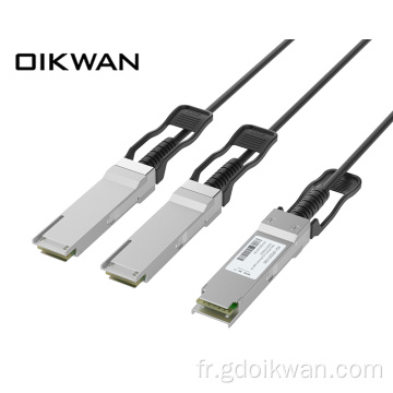 100g QSFP à 2 Cable QSFP +